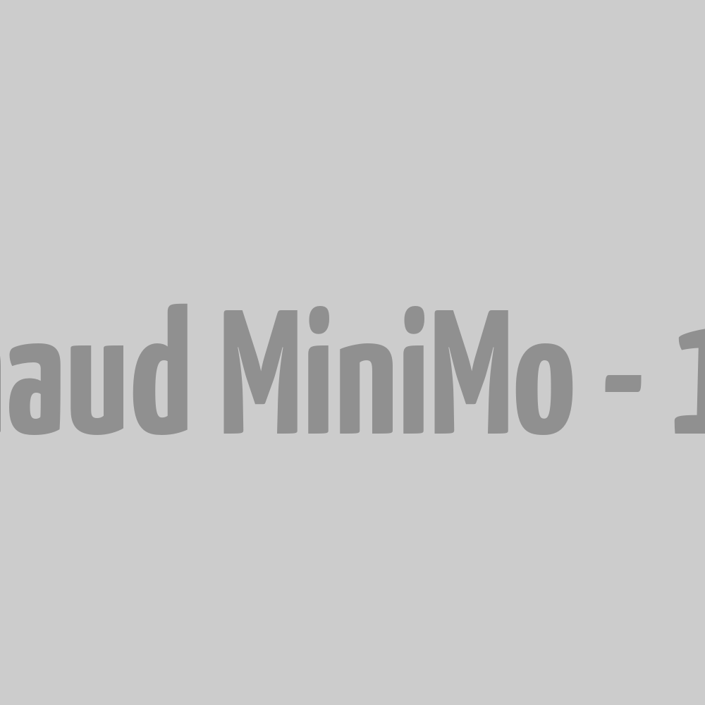 Réchaud MiniMo
