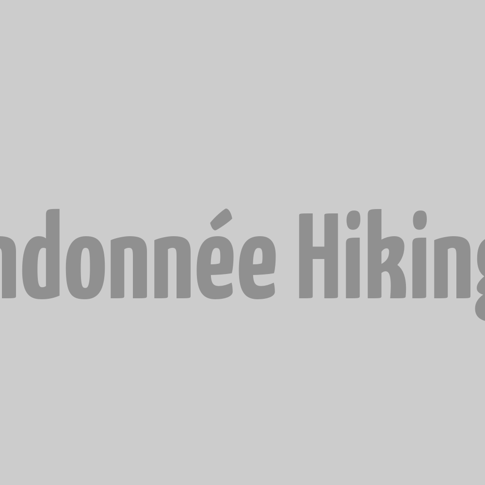 Pantalon de Randonnée Hiking - Gris L