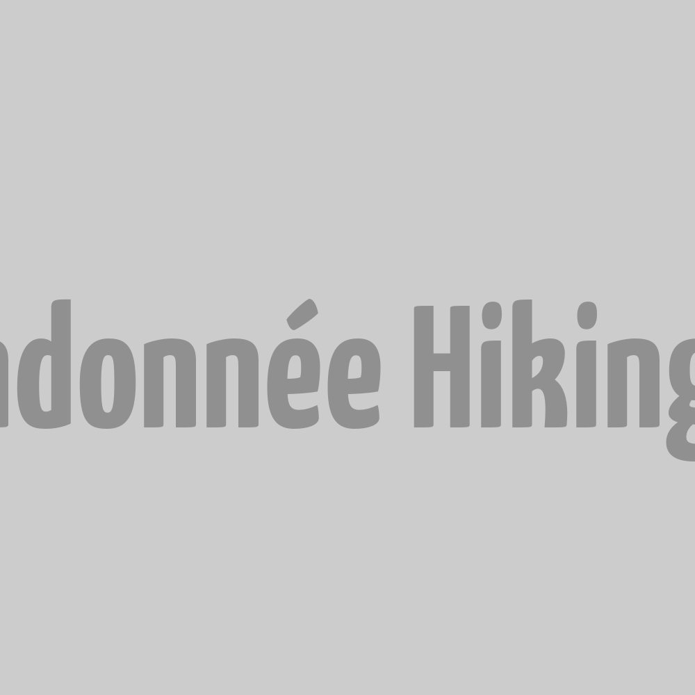 Pantalon de Randonnée Hiking - Gris M