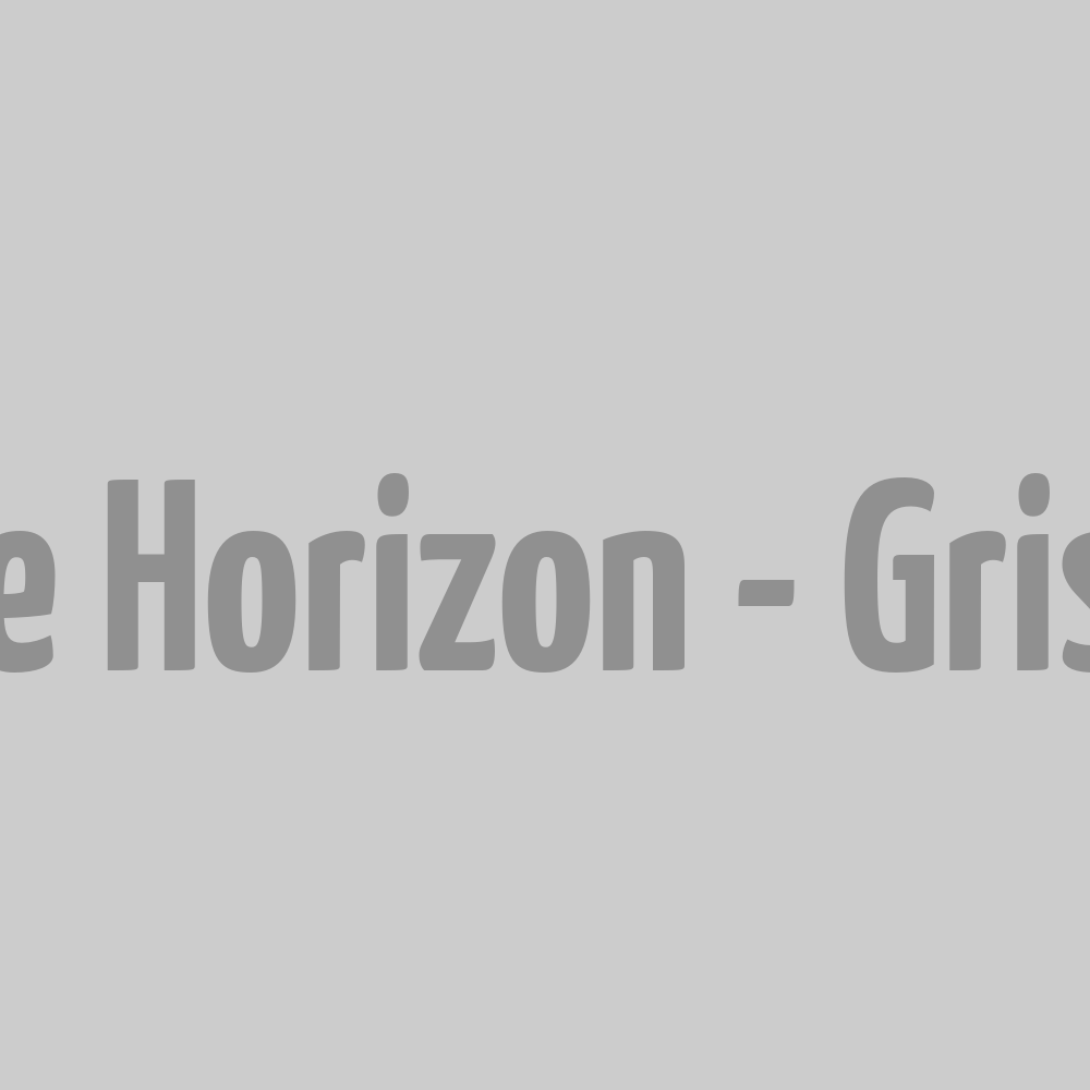 Casquette Horizon - Gris S