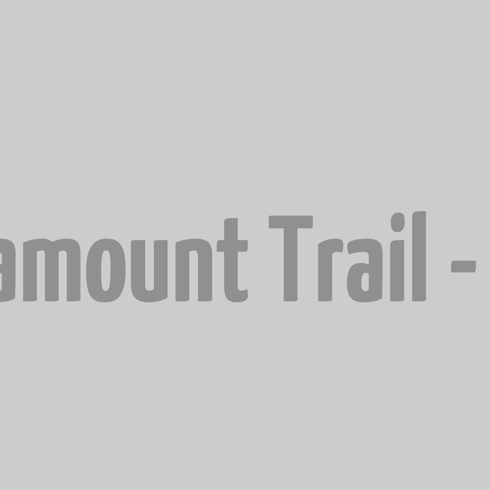 Pantalon Paramount Trail - Noir S