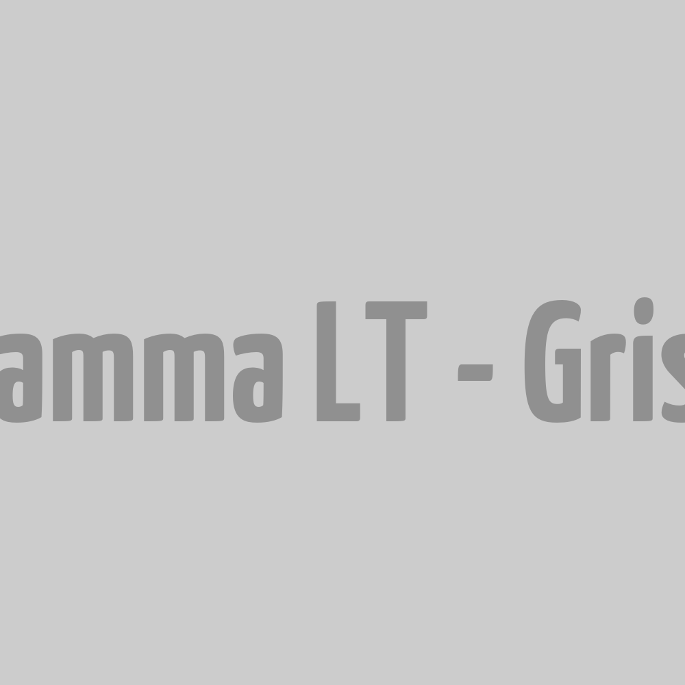 Pantalon Gamma LT - Gris XS