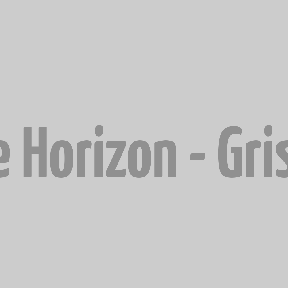 Casquette Horizon - Gris M