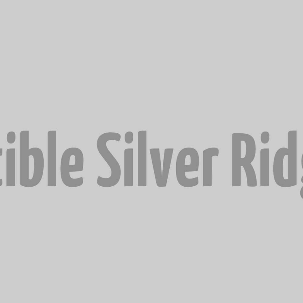Pantalon Convertible Silver Ridge - Gris S