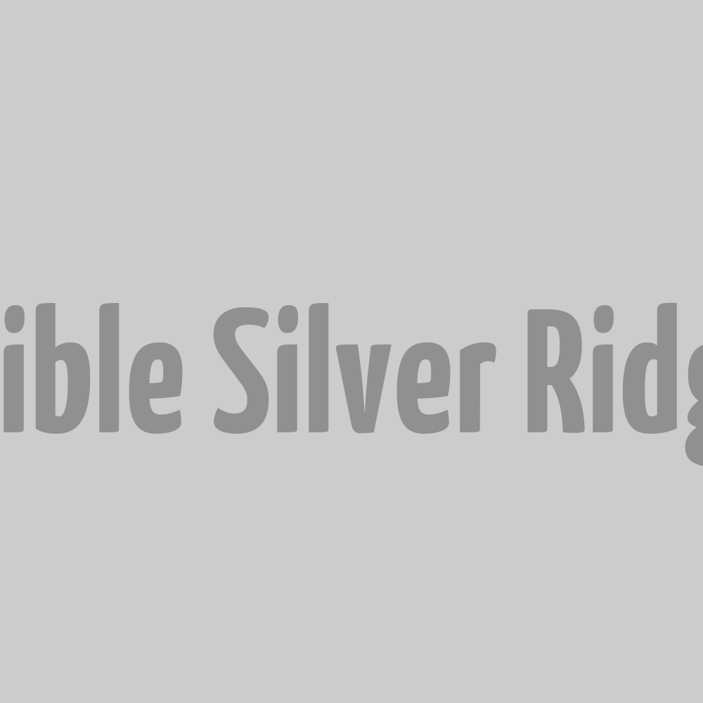 Pantalon Convertible Silver Ridge - Gris M