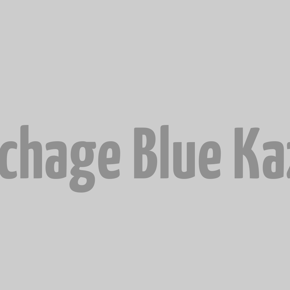 Sac de couchage Blue Kazoo
