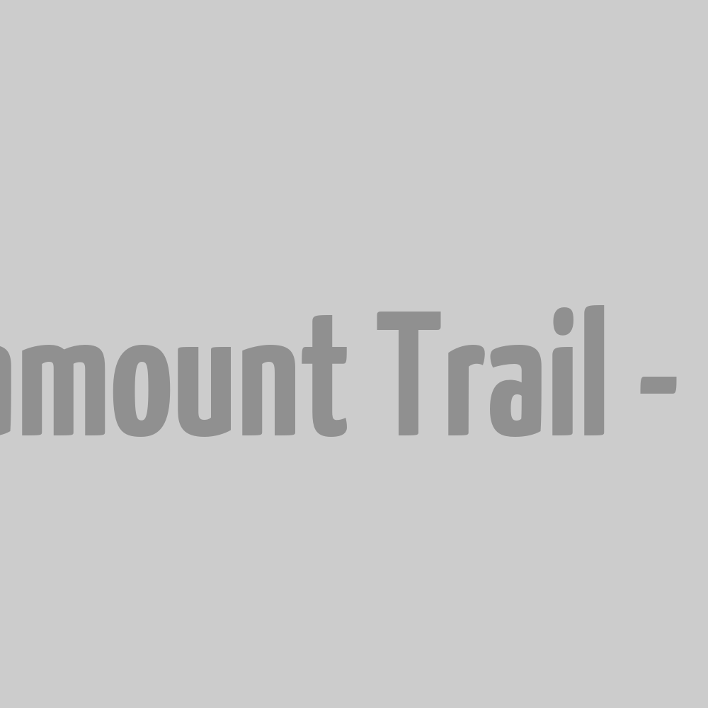 Pantalon Paramount Trail - Noir M