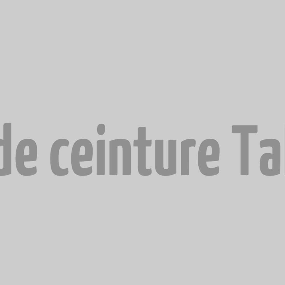 Pochette de ceinture Talon