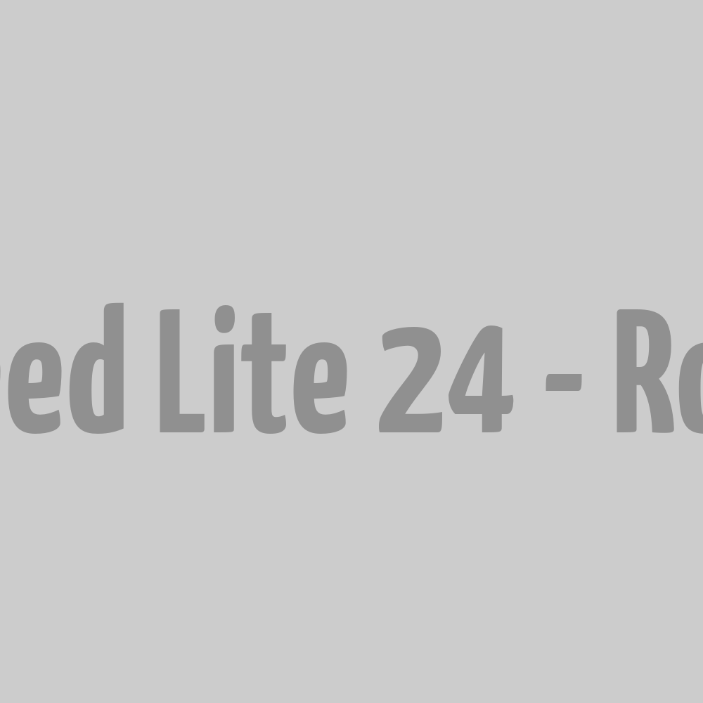 Sac à dos Speed Lite 24 - Rouge L
