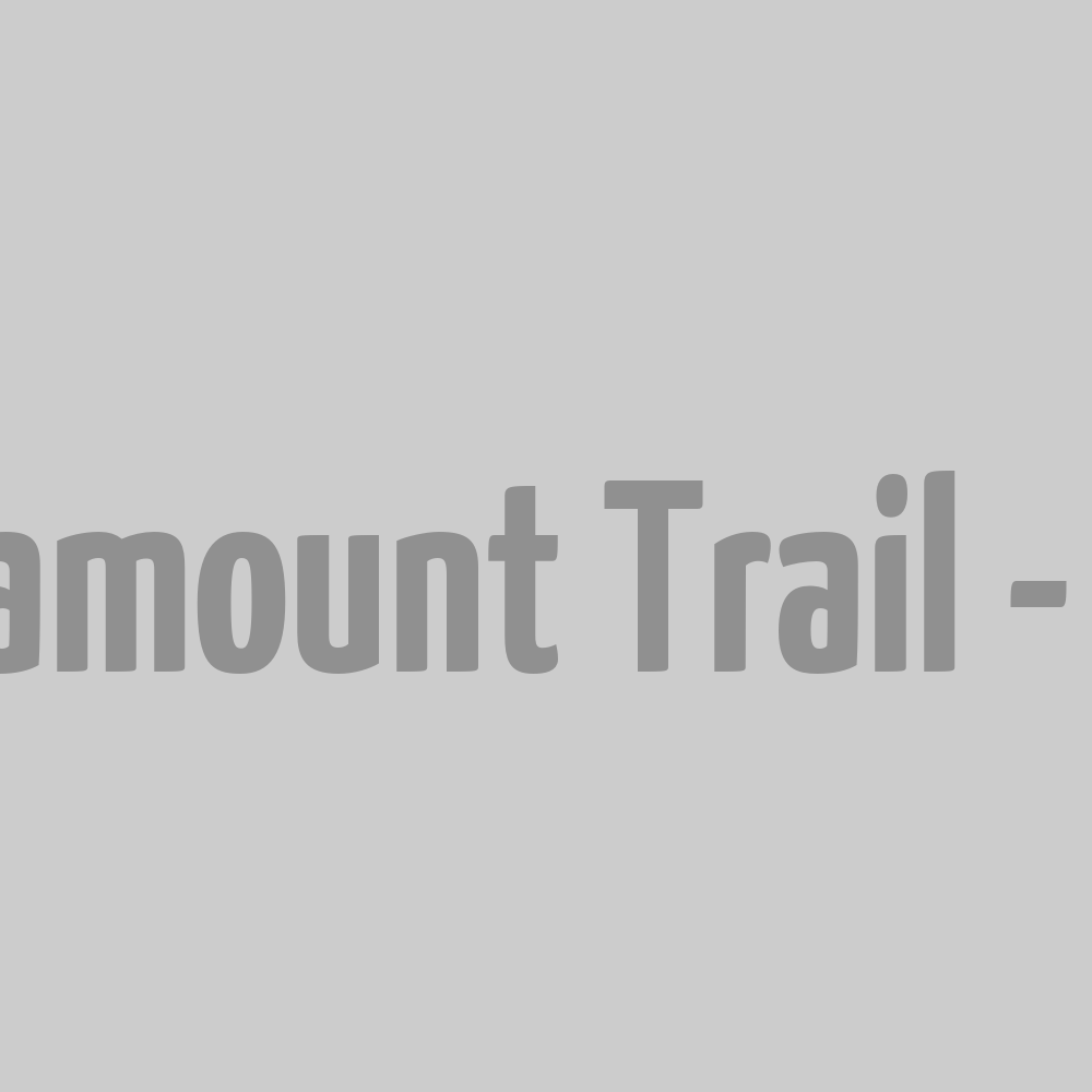 Pantalon Paramount Trail - Noir L